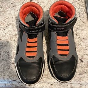 Geox 5 hightop Sneakers